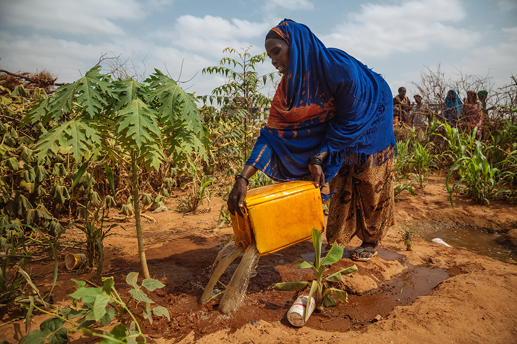 agri-program